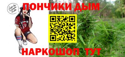 крисы Аша